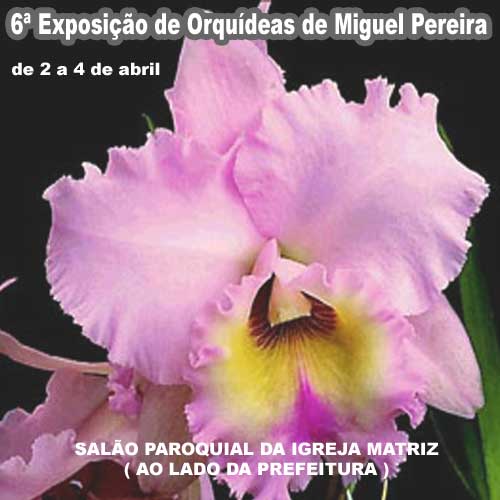 6� Exposi��o de Orqu�deas de Miguel Pere