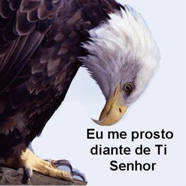 1� ENCONTRO DE VASOS