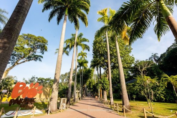 Paineiras Corcovado divulga novo tarifário para visitar o Cristo via vans oficiais